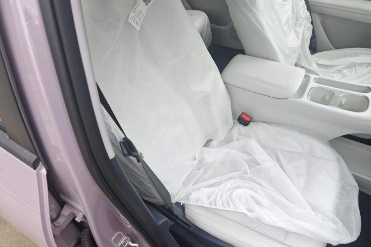 Used Geely Galaxy Geome 2026 Model 410km Carefree Edition Right Front Seat