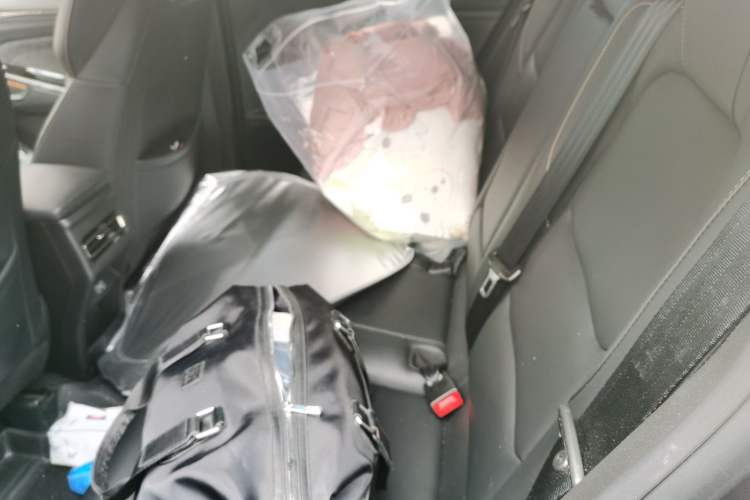 Used Oshan X5 PLUS 2023 1.5T DCT Excellence Edition
