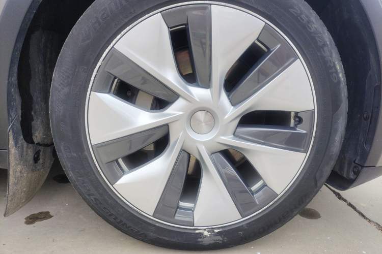 Used Tesla Model Y 2022 Rear-Wheel-Drive Version
