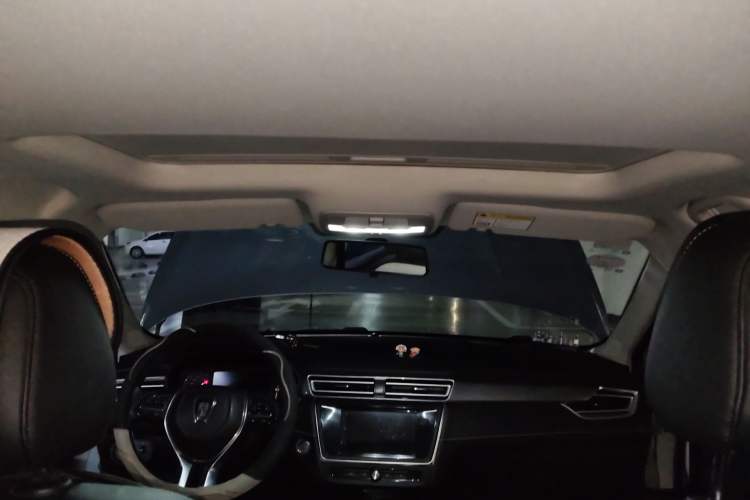 Used Roewe Ei5 2019 Luxury Edition Headliner