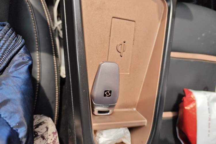 Used SOL E10X 2022 Flower Fairy Design Four-Leaf Clover