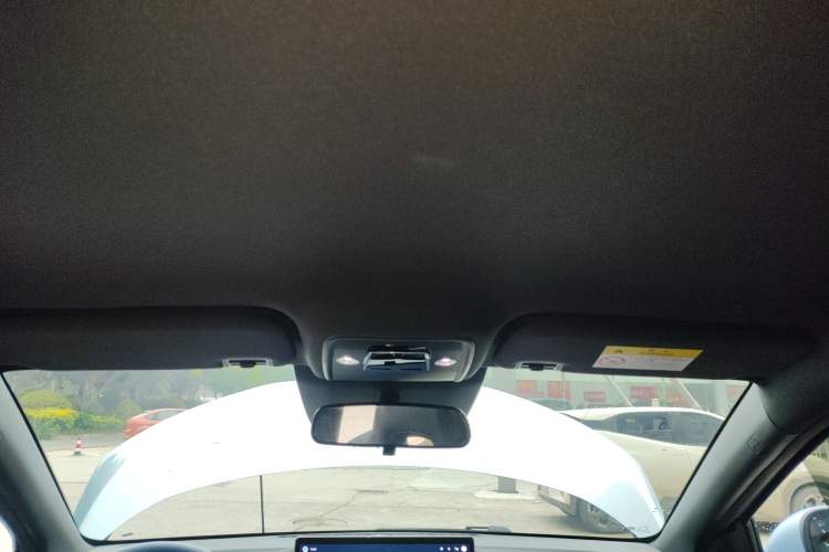 Used BYD Seagull 2025 Smart Drive Version 305 km Freedom Edition Headliner