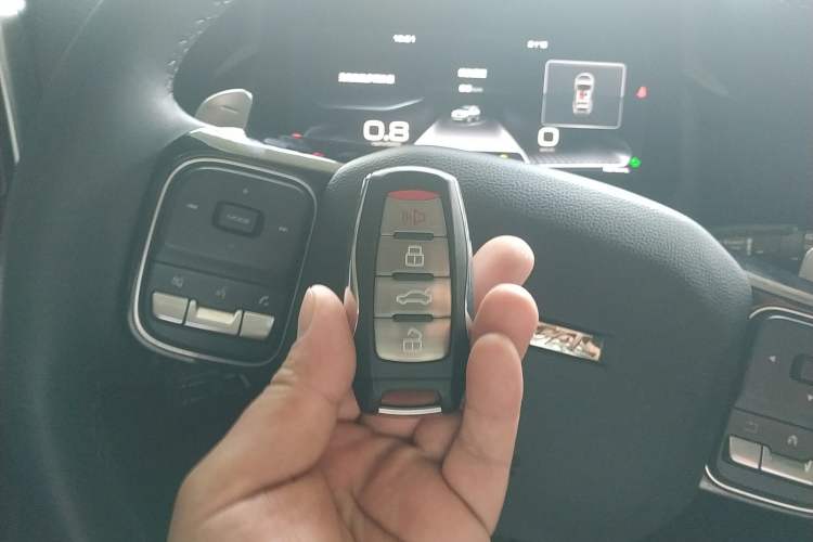 Used Haval DARGO 2021 2.0T DCT 4x4 Chinese Rural Dog Edition