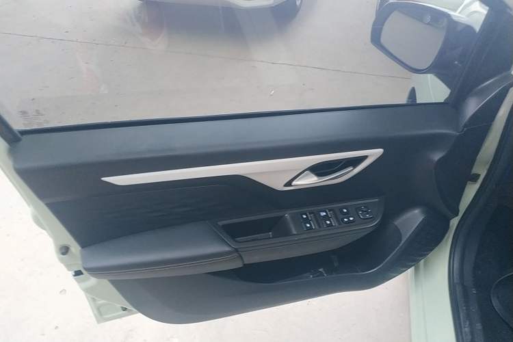 Used SOL E10X 2022 Flower Fairy Style Baby's Breath
