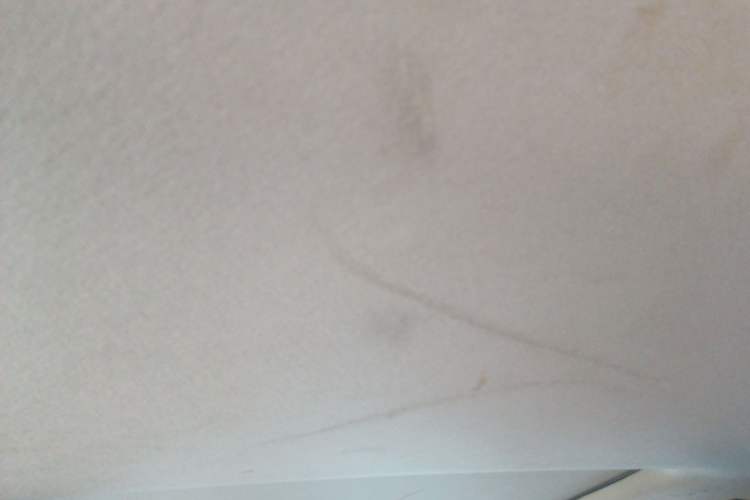 Used Toyota Corolla 2022 Dual-Motor 1.8L E-CVT Pioneer Edition
