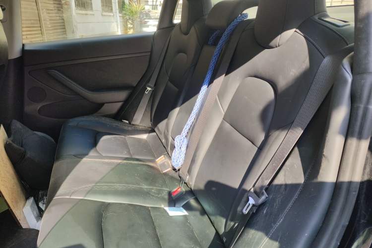 Used Tesla Model 3 2022 Rear-Wheel-Drive Version