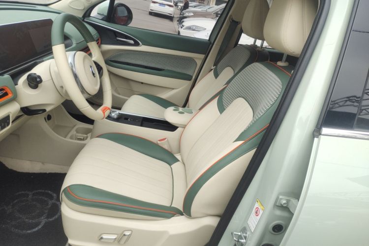 Used ORA Good Cat 2022 Morandi Edition 400km Standard Range Premium Version Lithium Iron Phosphate Left Front Seat