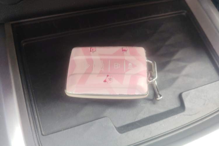 Used Tank 300 2023 Off-Road Edition 2.0T Conqueror
