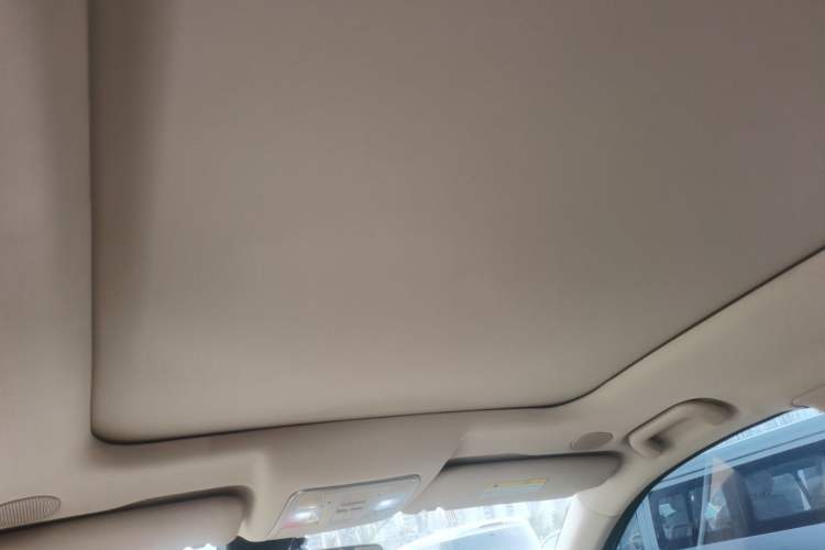 Used Landian E5 PLUS 2025 165 km Long-Range Pro Version with 5 Seats