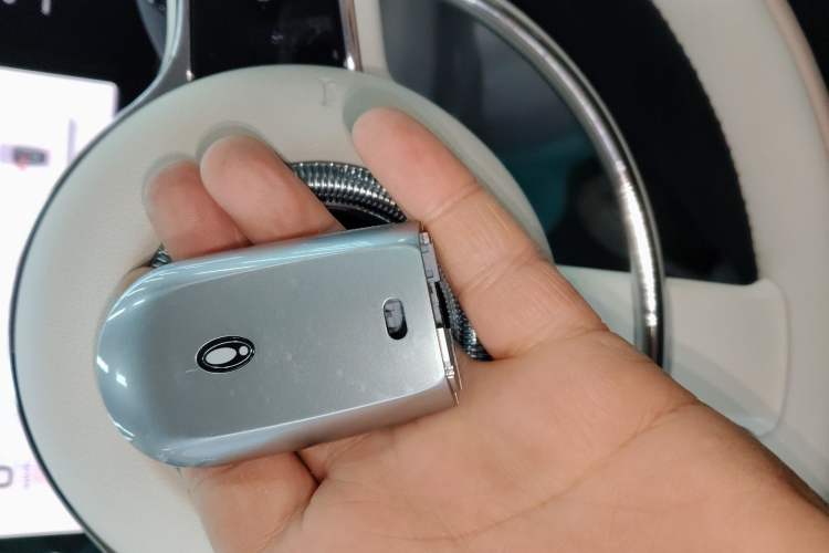 Used ORA Ballet Cat 2023 401 km Luxury Version