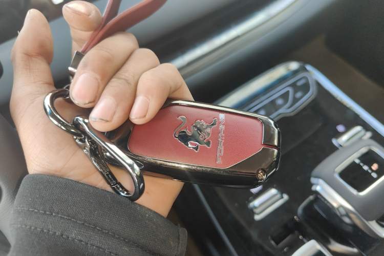 Used FORTHING Xinghai V9 2026 Model, More Enjoyment Series, 200km Luxury Edition
