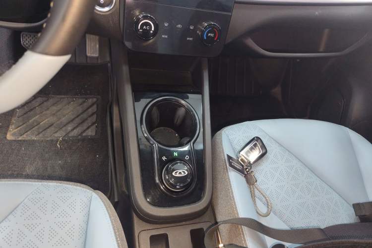 Used Chery Little Ant 2024 251km True Love Edition