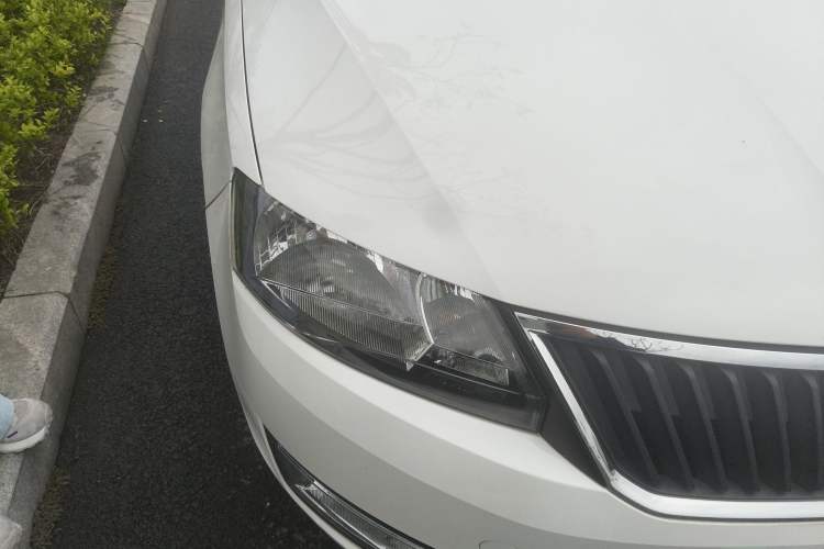 Used Skoda Rapid 2016 1.6L Manual Trend Edition