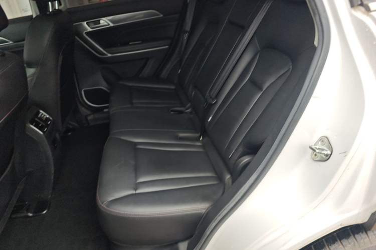 Used Haval H6 Coupe 2018 Blue Label 1.5T Automatic Two-Wheel Drive Ultra-Luxury Model Left Rear Seat