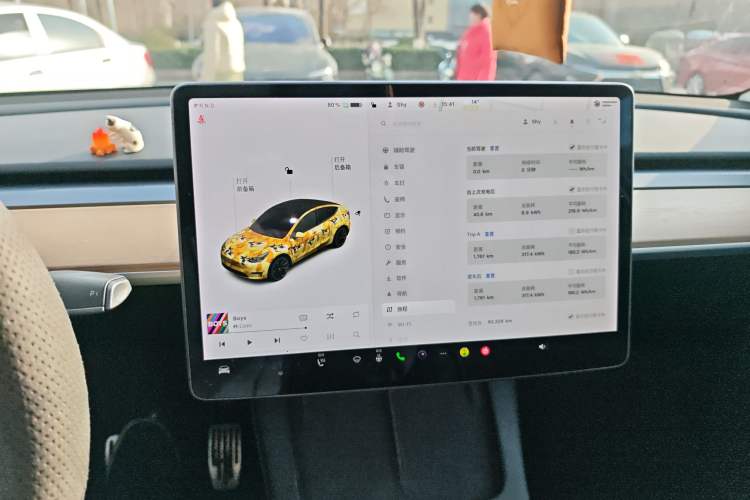 Used Tesla Model Y 2021 Standard Range Rear-Wheel Drive Version