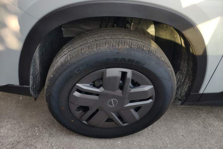 Used Radar King Kong 2025 430 km Two-Wheel Drive Long Bed – Lucky King
