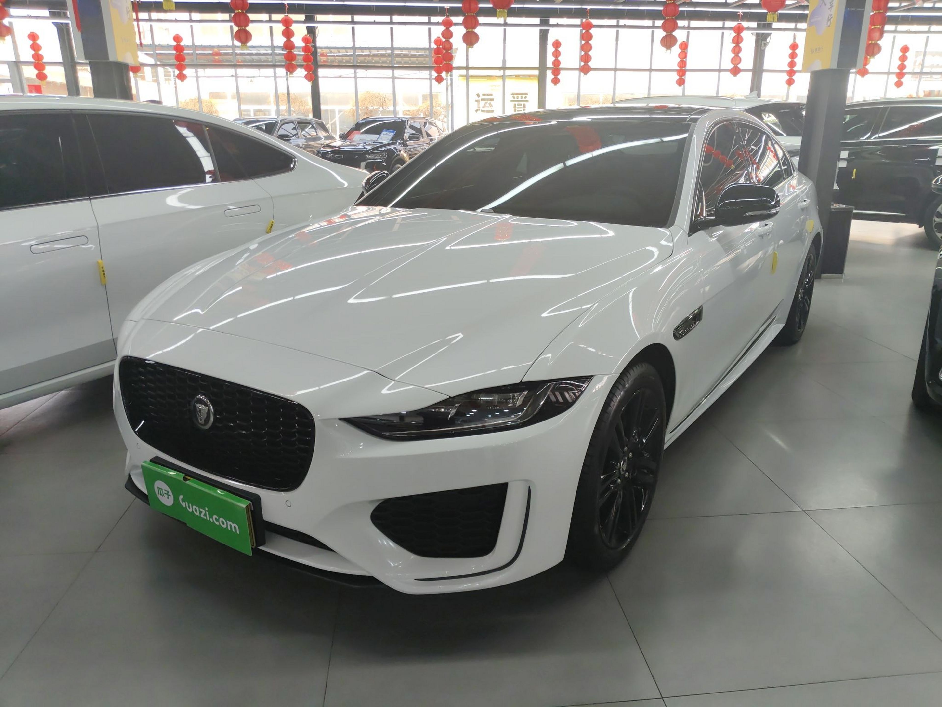 Under Front Bumper