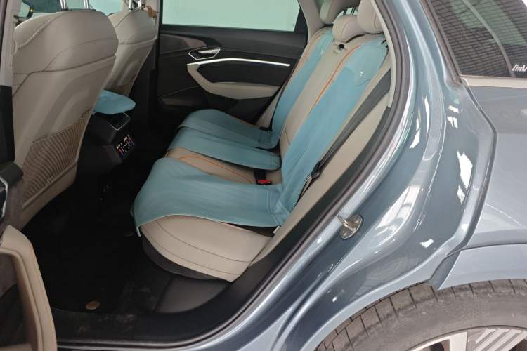 Used Audi e-tron 2021 50 quattro Prestige Edition Left Rear Seat