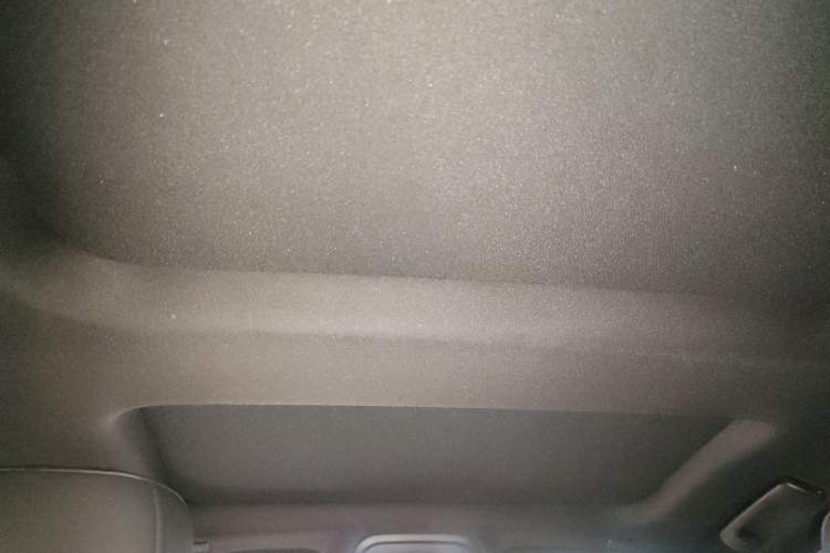 Used Cadillac CT5 2024 28T Luxury Pro Trim Headliner