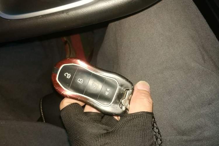 Used Geely Auto Monjaro S 2021 2.0TD Automatic Two-Wheel Drive Lightning Edition
