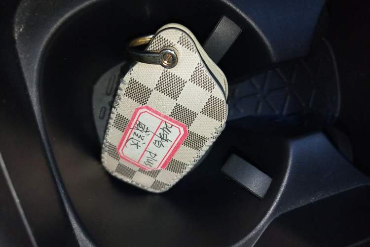 Used Toyota Wildlander 2023 2.0L CVT Two-Wheel Drive Luxury PLUS Edition Vehicle Key