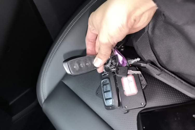 Used Haval H Dog New Energy 2024 Hi4 102km Trend Electric Version Plus