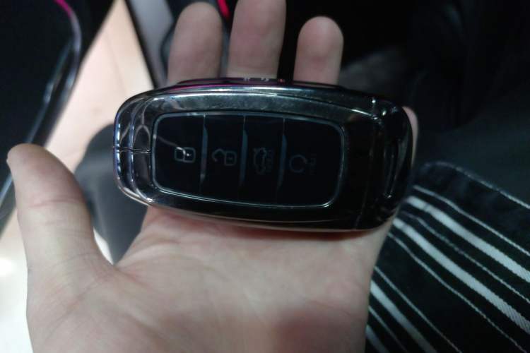 Used Hongqi H9 2020 3.0T Smart Connect Flagship Four-Seat Version Interior 1