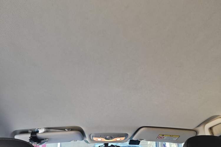 Used Dayun Yuehu 2021 32.85 kWh Two-Wheel-Drive Sprite Version