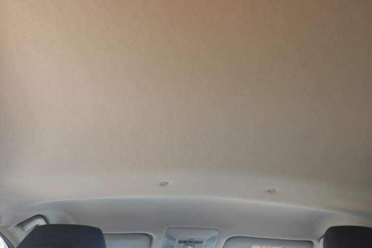 Used Toyota RAV4 2022 2.0L CVT Two-Wheel Drive Urban Edition Headliner