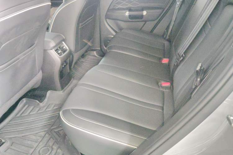 Used Tank 300 2024 2.0T Crosser