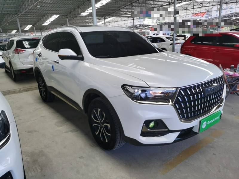 Used Haval H6 2023 National Trend Edition 1.5T Automatic Urban Version — 3