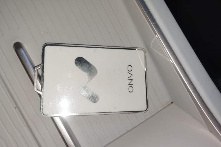 Used ONVO L60 2024 60 kWh Rear-Drive Version