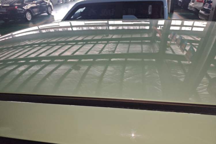 Used Qiyuan Lumin 2023 205km Xiangqin Version