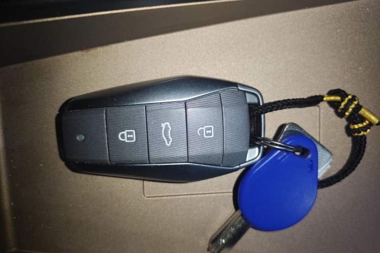 Used SOL E10X 2022 Flower Fairy Design Four-Leaf Clover Vehicle Key