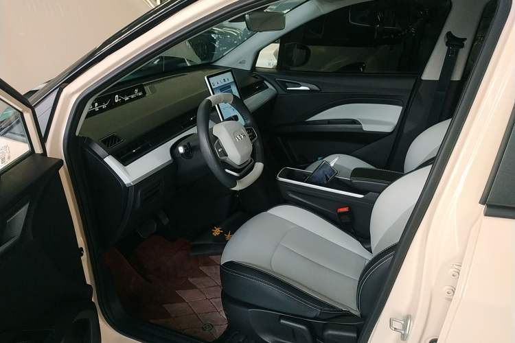 Used NETA AYA 2023 401 Lite