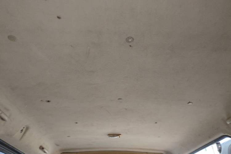 Used CHANGAN KAICHENG Ruixing M80 2014 1.5L CNG Classic Model 4G15S Headliner