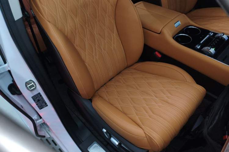 Used Tank 500 New Energy 2026 Model—Hi4-Z Smart Enjoyment Version Right Front Seat