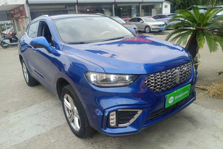 Used Wey VV5 2021 1.5T Two-Wheel Drive Color Pioneer