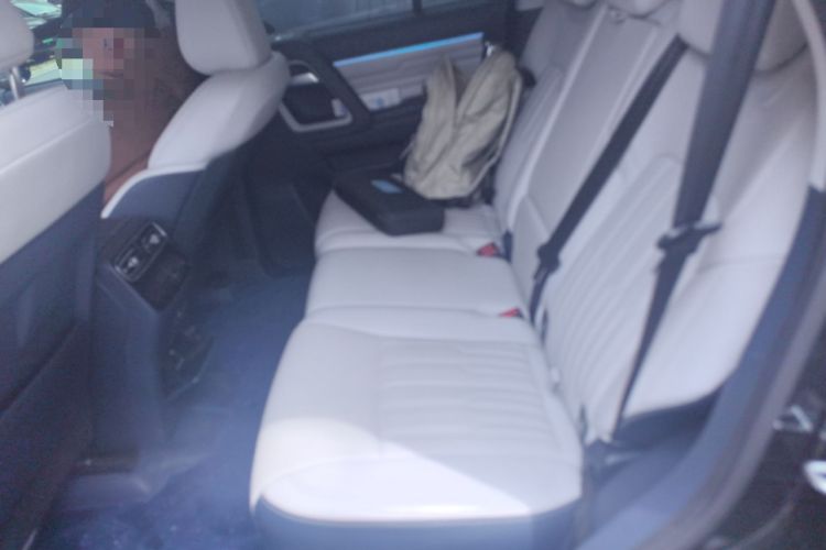 Used BAIC Off-Road BJ60 2022 2.0T Weekend Edition Five-Seater Left Rear Seat