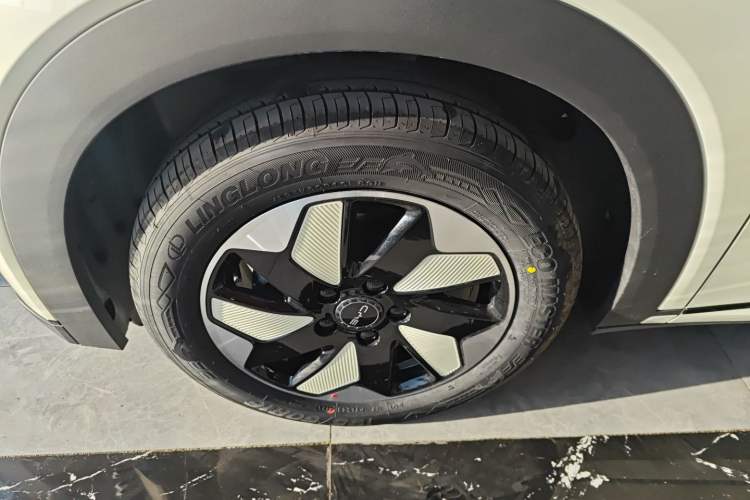 Used BYD Dolphin 2025 420km Free Edition
