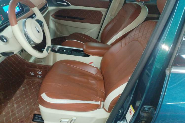 Used ORA Good Cat 2022 Morandi Edition 400km Standard Range Luxury Version Lithium Iron Phosphate Left Front Seat