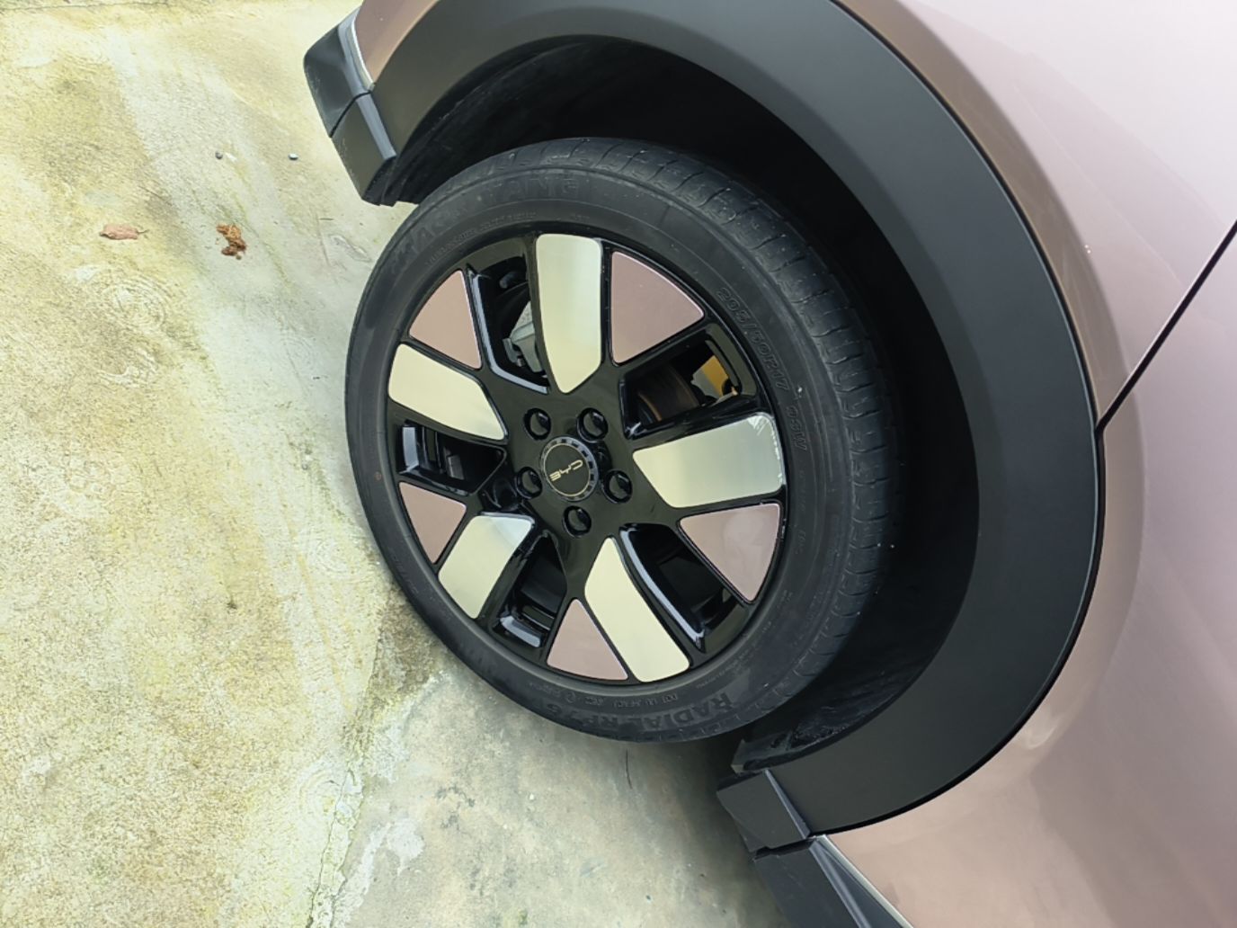 BYD Dolphin 2021 401km Knight Edition — снимка 11
