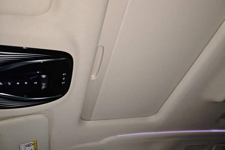 Used VOYAH Dream 2022 Low-Carbon Edition Home