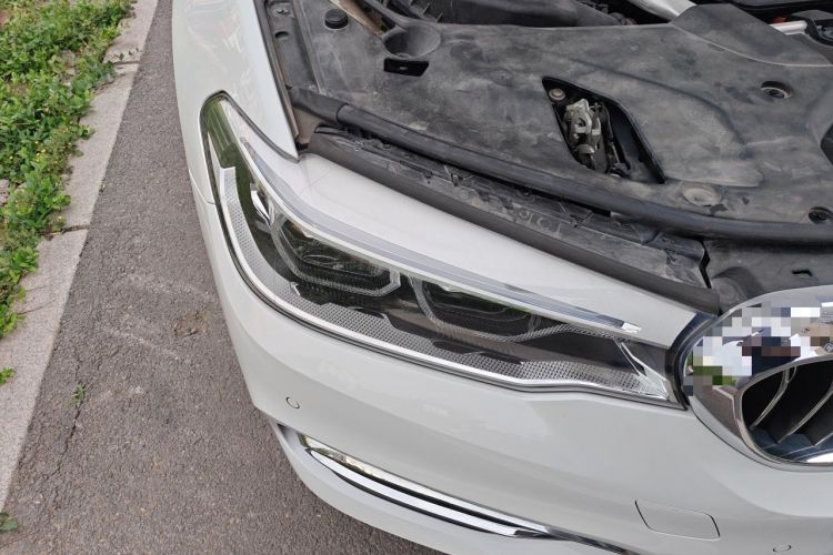 Used BMW 5 Series 2020 530Li Luxury Edition Premium Package
