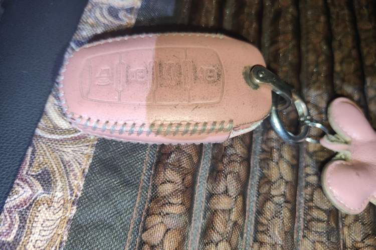 Used ORA Black Cat 2021 351 km Standard Version
