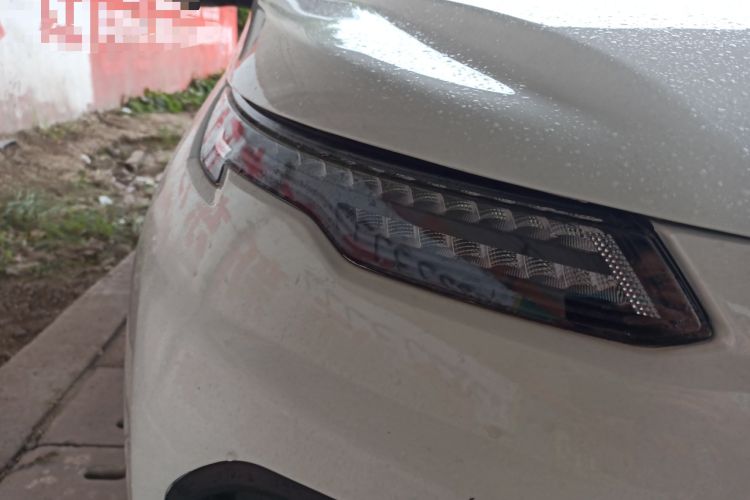 Used Dayun Yuehu 2022 30.66 kWh Two-Wheel Drive Standard Version
