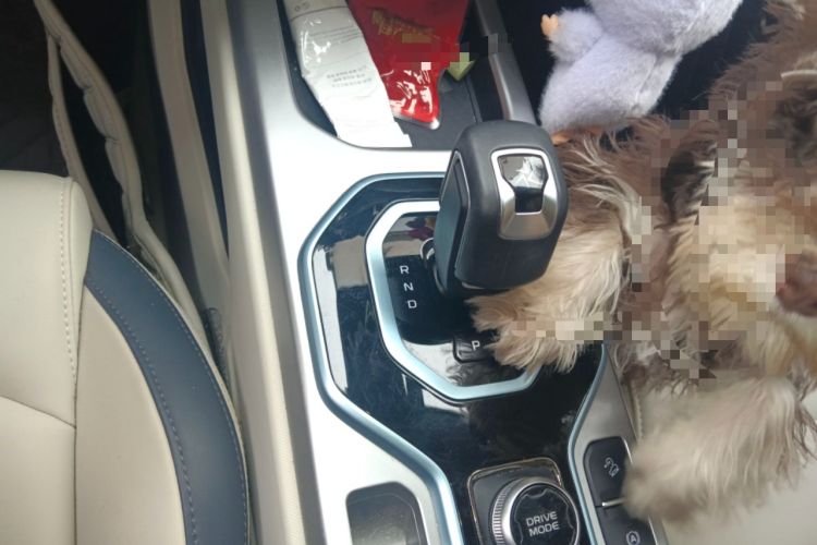 Used Geely Auto icon 2025 Linglong 1.5TD Ruyi Edition Gear Lever