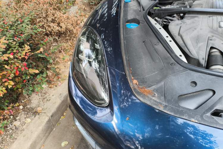 Used Porsche Panamera 2019 Panamera 2.9T Exterior 6