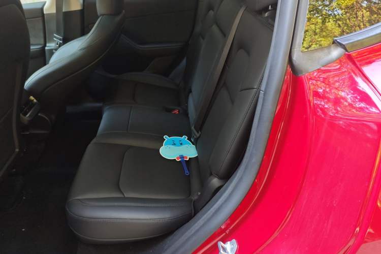 Used Tesla Model Y 2023 High-Performance All-Wheel-Drive Version