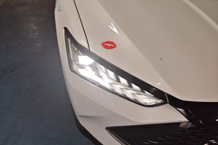 Used BYD Qin PLUS 2023 Champion Edition DM-i 55KM Leading Model